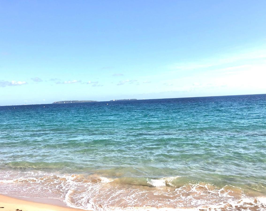 Vacances Paradisiaques, Plage Cannes Boccacabana, Studio Kültér fotó